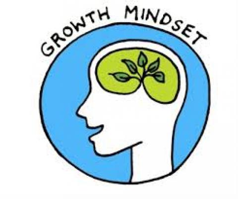 Recognizing Excellence in Having a Growth Mindset